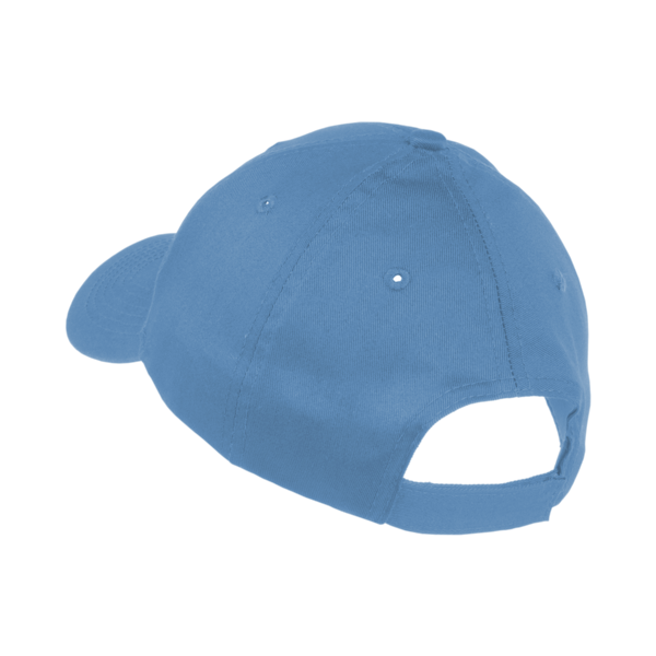 Port Authority Youth Six Panel Twill Cap, Carolina Blue, Back view