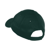 Port Authority Youth Six Panel Twill Cap, Hunter, Back view