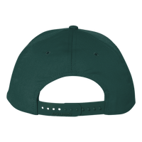 Richardson Pro Twill Snapback Cap, Dark Green / Dark Green, Back view