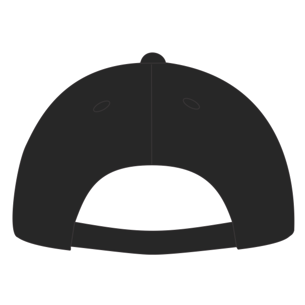 Richardson Sustainable Ashland Dad Hat, Black, Back view