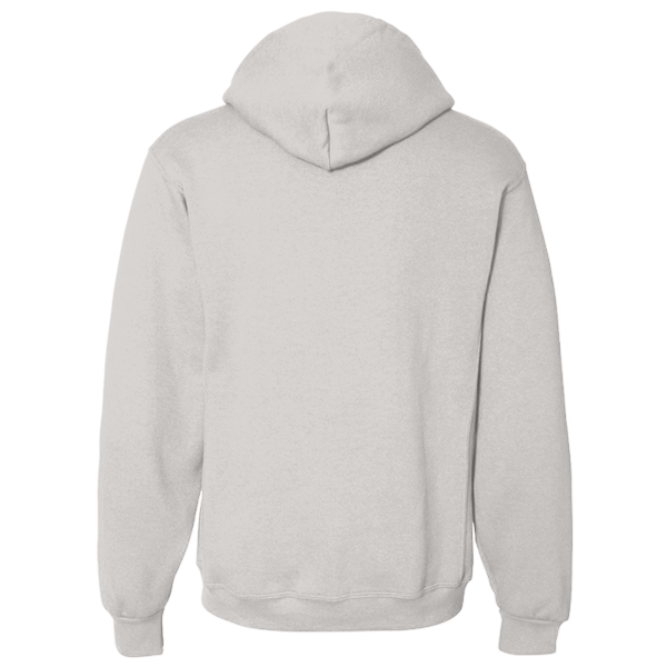 Russell Athletic Unisex Dri Power® Hooded Sweatshirt, Ash, Back view