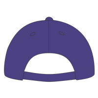 Sport Tek Dry Zone ® Nylon Cap, Purple, Headwear Arch Back view