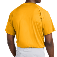 Sport Tek PosiCharge ® Competitor 2 Button Henley, Gold, Back view