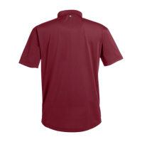 Swannies Men's Ford Polo, Maroon, Back view