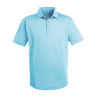 Swannies Men's Ford Polo, Sky, Front view