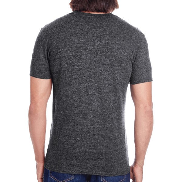 Threadfast Apparel Unisex Triblend T-Shirt, Black Triblend, Back view