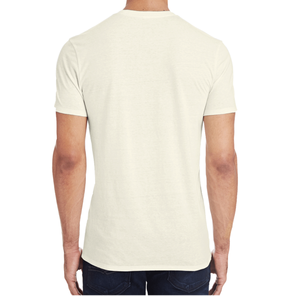 Threadfast Apparel Unisex Triblend T-Shirt, Cream Triblend, Back view