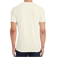 Threadfast Apparel Unisex Triblend T-Shirt, Cream Triblend, Back view