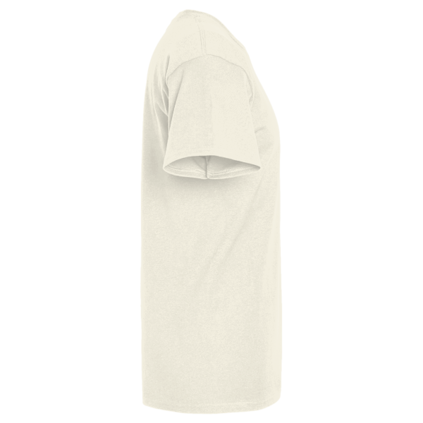 Threadfast Apparel Unisex Triblend T-Shirt, Cream Triblend, Right Sleeve view