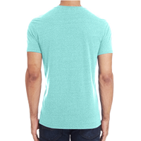Threadfast Apparel Unisex Triblend T-Shirt, Mint Triblend, Back view