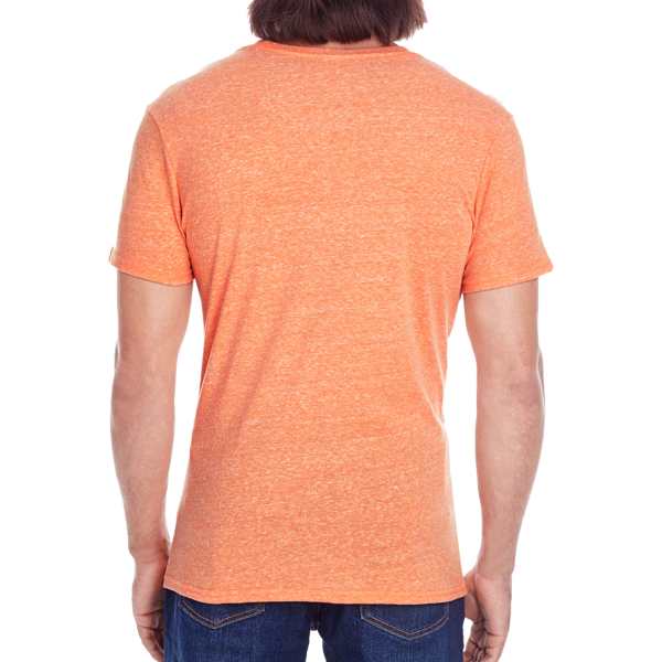 Threadfast Apparel Unisex Triblend T-Shirt, Orange Triblend, Back view