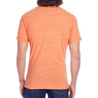 Threadfast Apparel Unisex Triblend T-Shirt, Orange Triblend, Back view