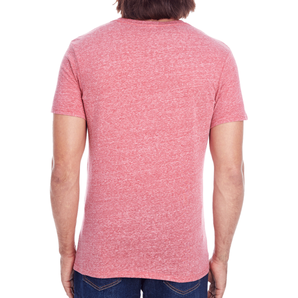 Threadfast Apparel Unisex Triblend T-Shirt, Red Triblend, Back view