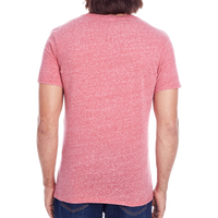 Threadfast Apparel Unisex Triblend T-Shirt, Red Triblend, Back view