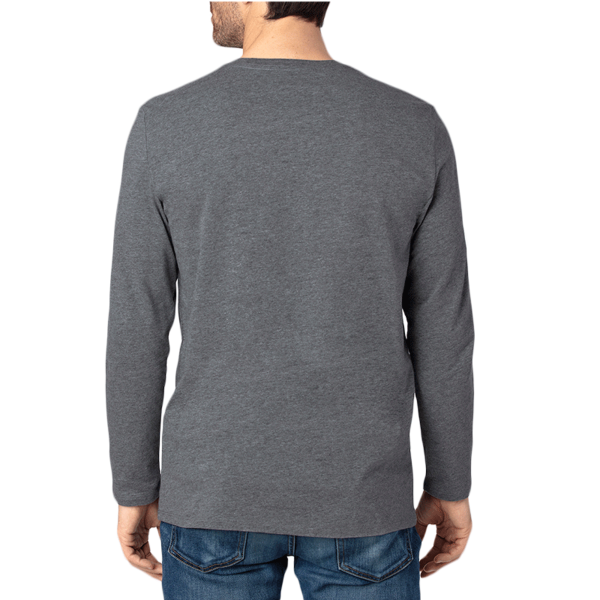 Threadfast Apparel Unisex Ultimate CVC Long Sleeve T-Shirt, Charcoal Heather, Back view