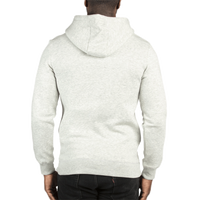 Threadfast Apparel Unisex Ultimate Fleece Pullover Hooded Sweatshirt, Oatmeal Heather, Back view