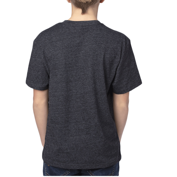 Threadfast Apparel Youth Triblend T-Shirt, Black Triblend, Back view