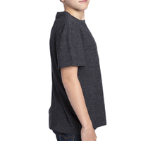Threadfast Apparel Youth Triblend T-Shirt, Black Triblend, Right Sleeve view