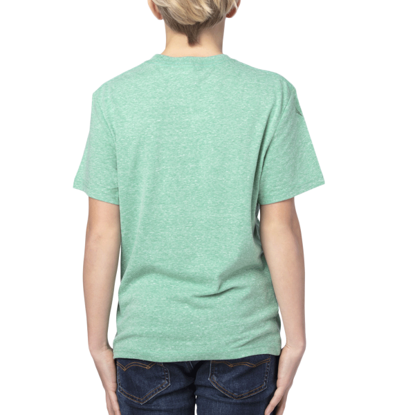 Threadfast Apparel Youth Triblend T-Shirt, Green Triblend, Back view