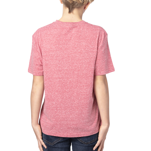 Threadfast Apparel Youth Triblend T-Shirt, Red Triblend, Back view