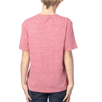 Threadfast Apparel Youth Triblend T-Shirt, Red Triblend, Back view