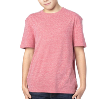 Threadfast Apparel Youth Triblend T-Shirt, Red Triblend, Front view