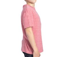 Threadfast Apparel Youth Triblend T-Shirt, Red Triblend, Right Sleeve view