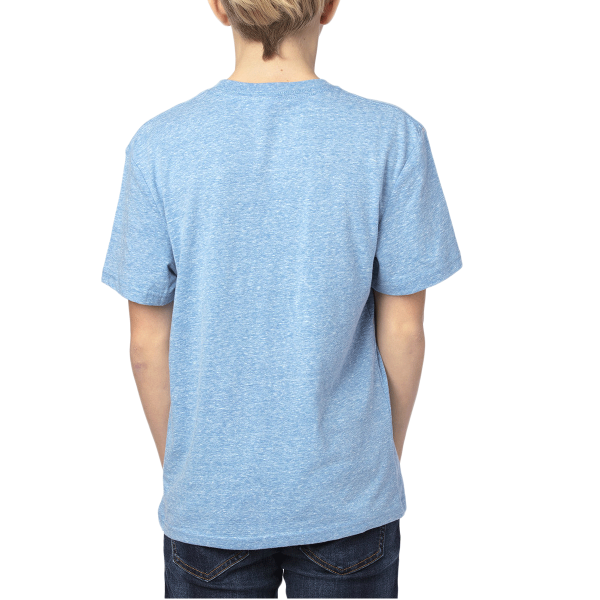 Threadfast Apparel Youth Triblend T-Shirt, Royal Triblend, Back view