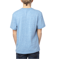 Threadfast Apparel Youth Triblend T-Shirt, Royal Triblend, Back view
