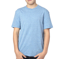 Threadfast Apparel Youth Triblend T-Shirt, Royal Triblend, Front view