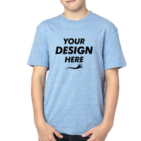 Threadfast Apparel Youth Triblend T-Shirt, Royal Triblend, Front view, Mockup