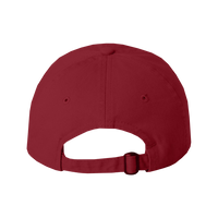 Valucap Bio-Washed Classic Dad Hat, Cardinal / Cardinal / Cardinal, Back view