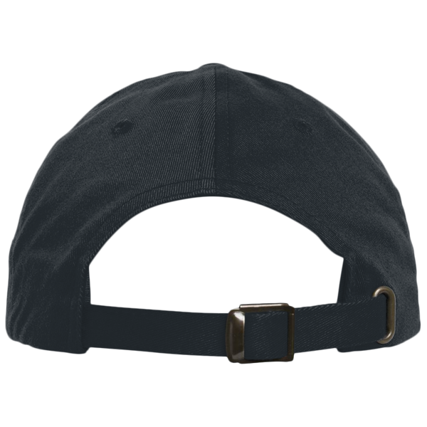 YP Classics EcoWash™ Dad Hat, Black, Back view