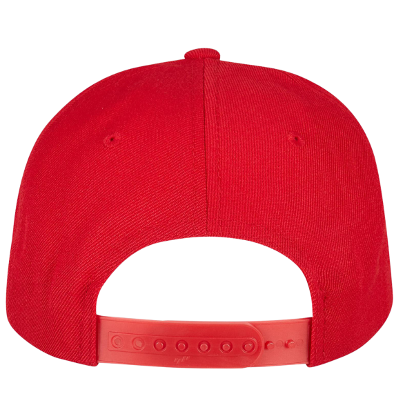 YP Classics Premium Curved Bill Snapback Cap, Red, Back view