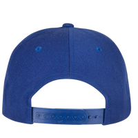 YP Classics Premium Curved Bill Snapback Cap, Royal, Back view