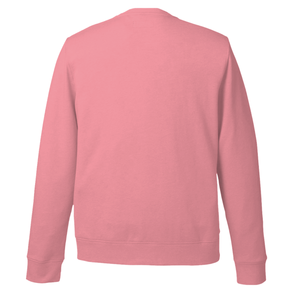 vineyard vines Men's Garment-Dyed Crewneck Sweatshirt, Jetty Red, Back view